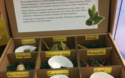 Boticas e plantas medicinais na época dos Descobrimentos – exposição na José Saraiva