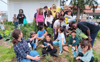 Dia Eco-escolas na José Saraiva