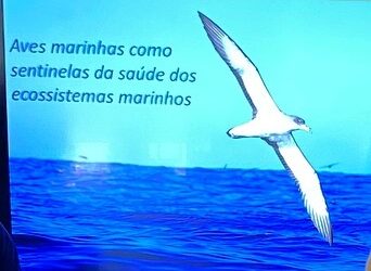 Programa Cientificamente Provável na EBJS